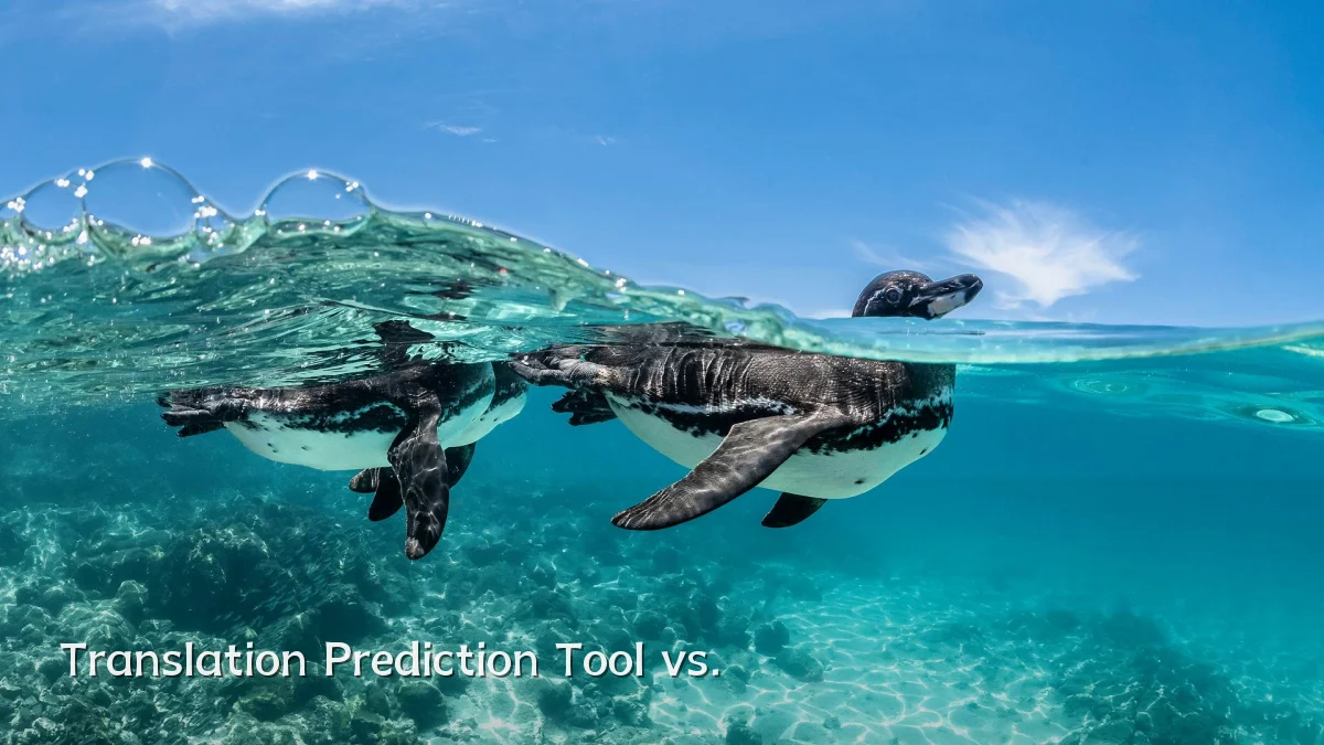 Translation Prediction Tool vs.