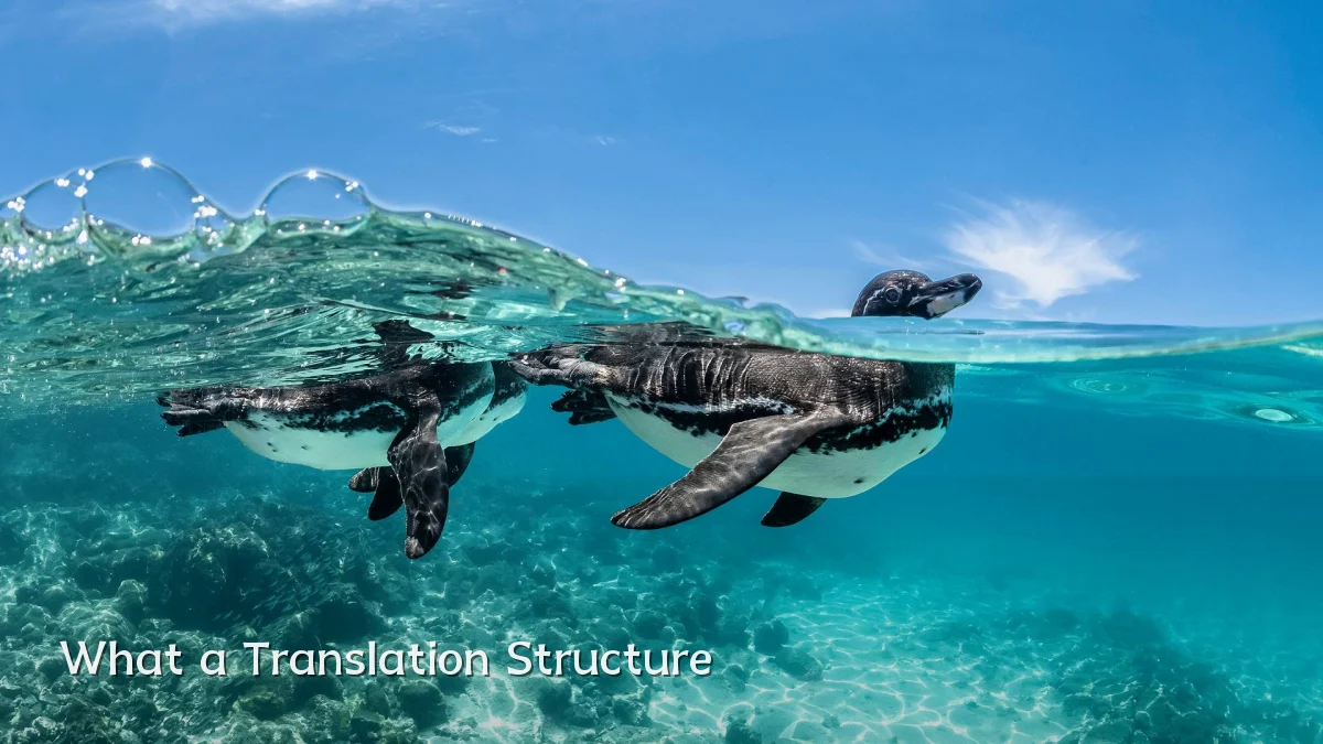 What a Translation Structure