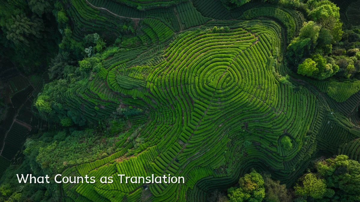 What Counts as Translation