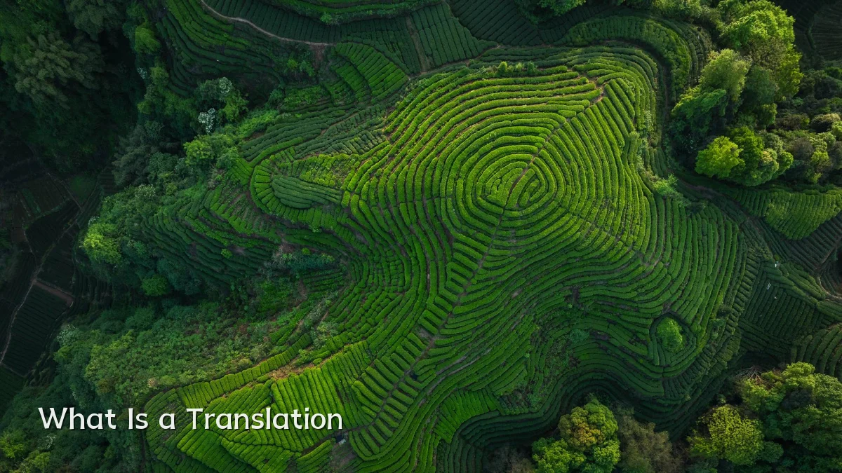 What Is a Translation