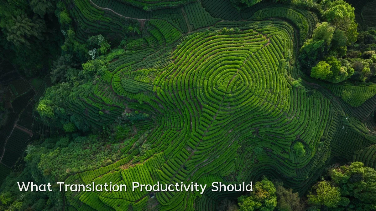 What Translation Productivity Should