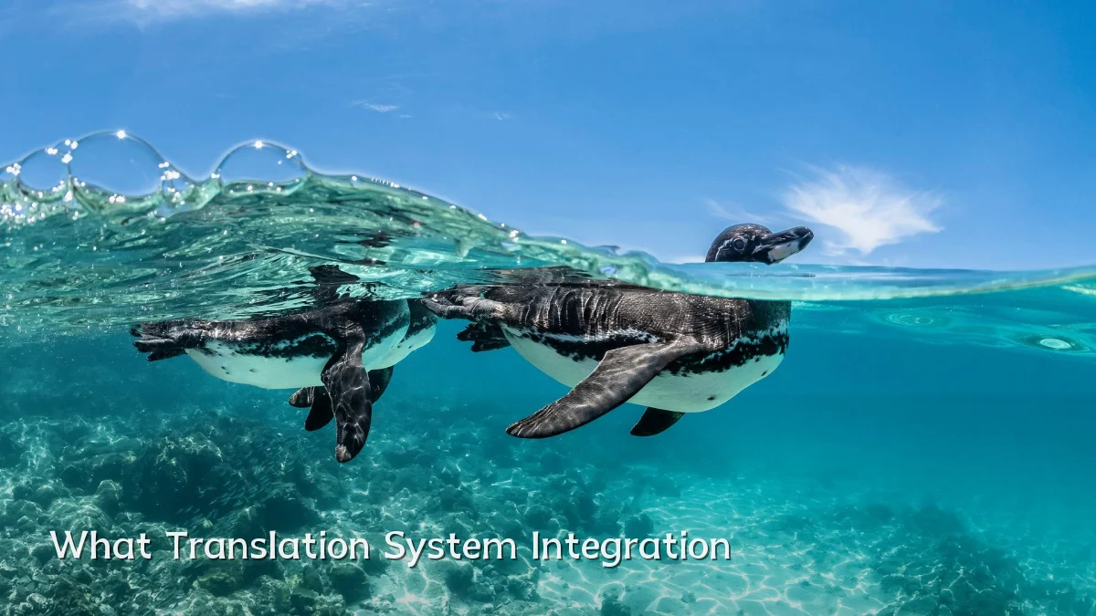 What Translation System Integration