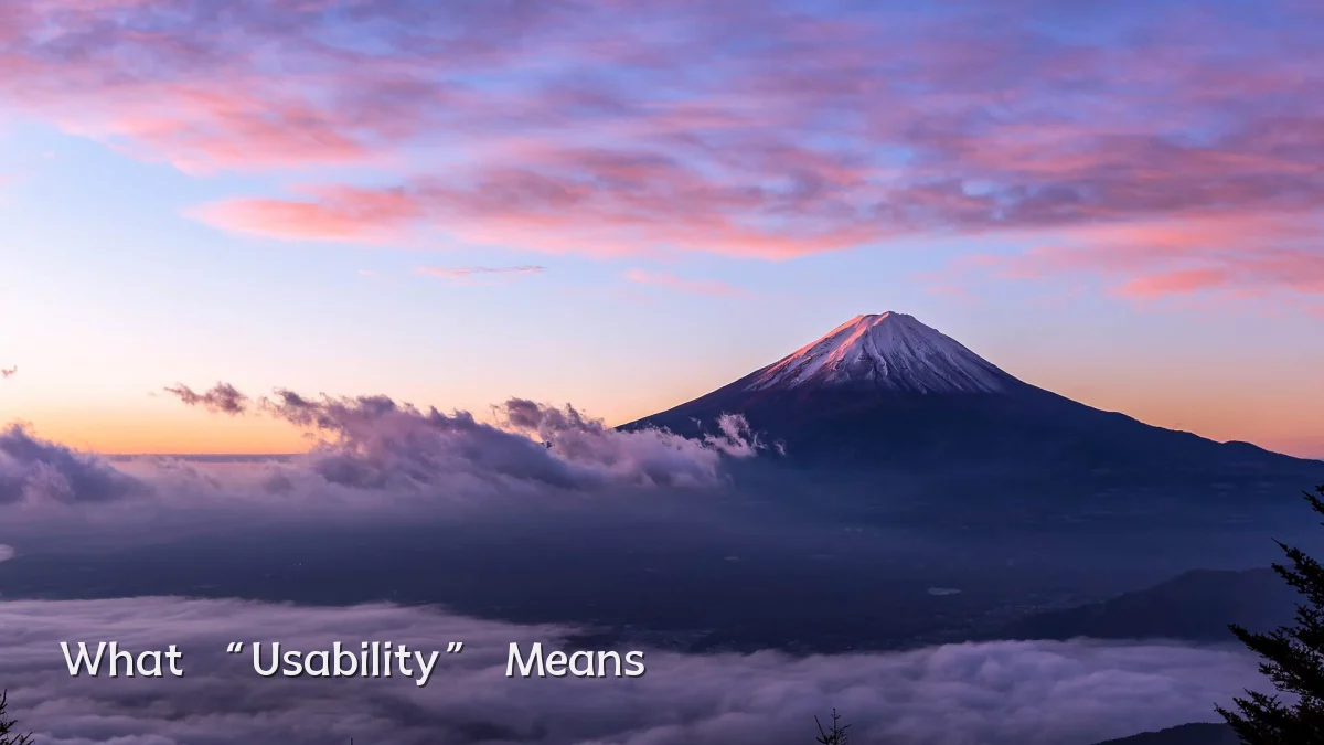 What “Usability” Means