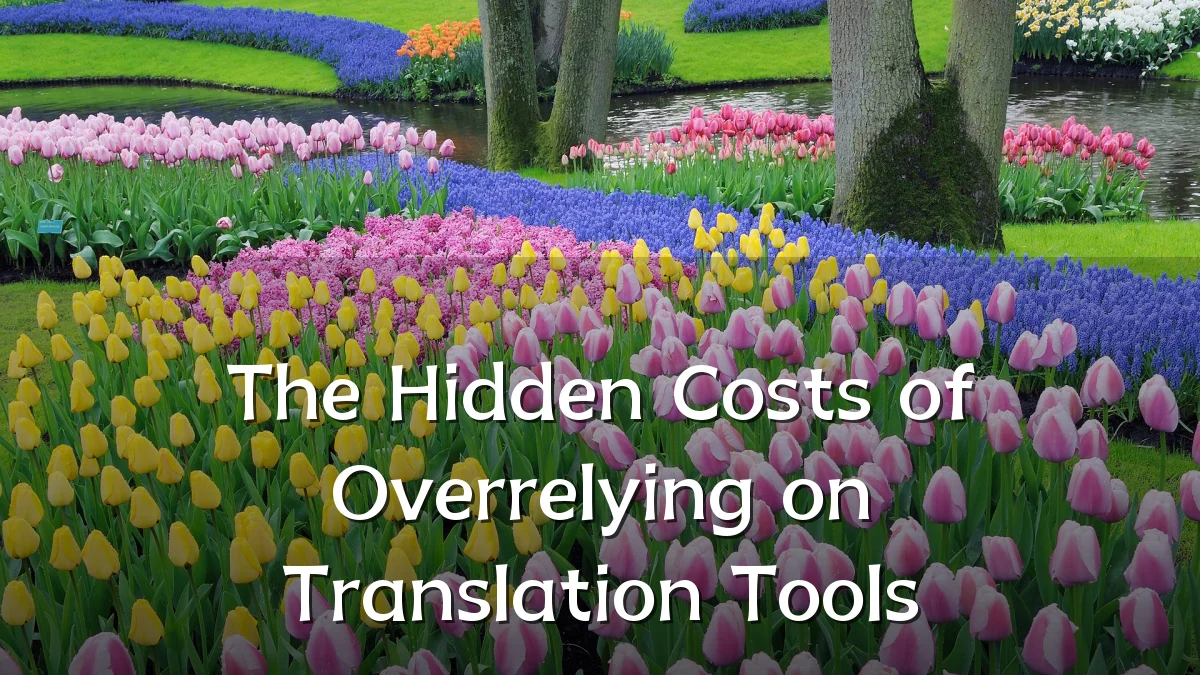 The Hidden Costs of Overrelying on Translation Tools