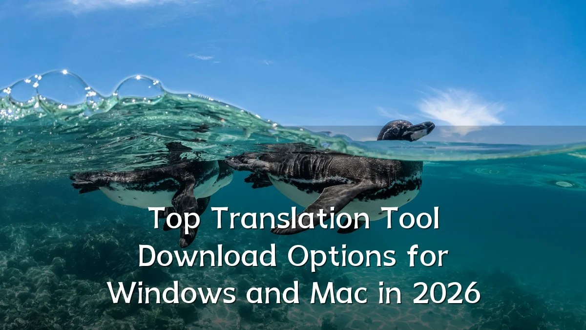 Top Translation Tool Download Options for Windows and Mac in 2026