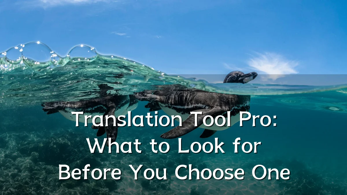 Translation Tool Pro: What to Look for Before You Choose One