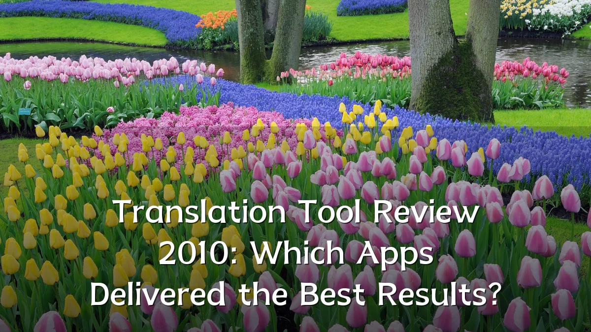 Translation Tool Review 2010: Which Apps Delivered the Best Results?