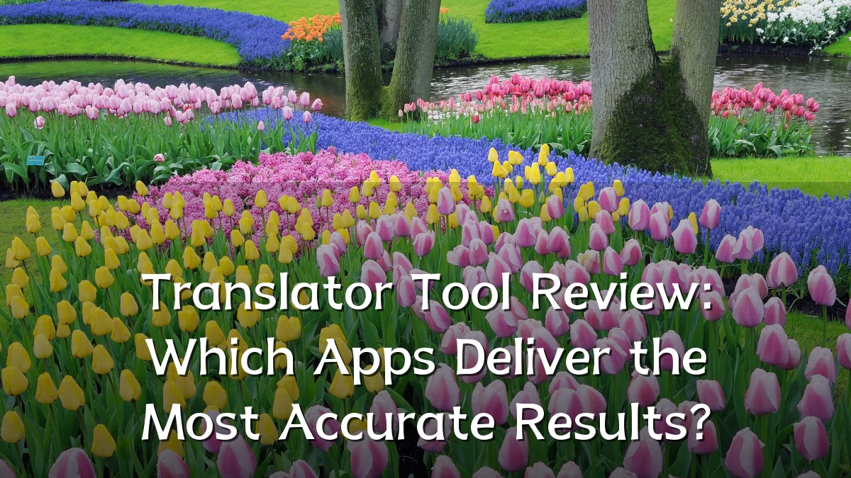 Translator Tool Review: Which Apps Deliver the Most Accurate Results?