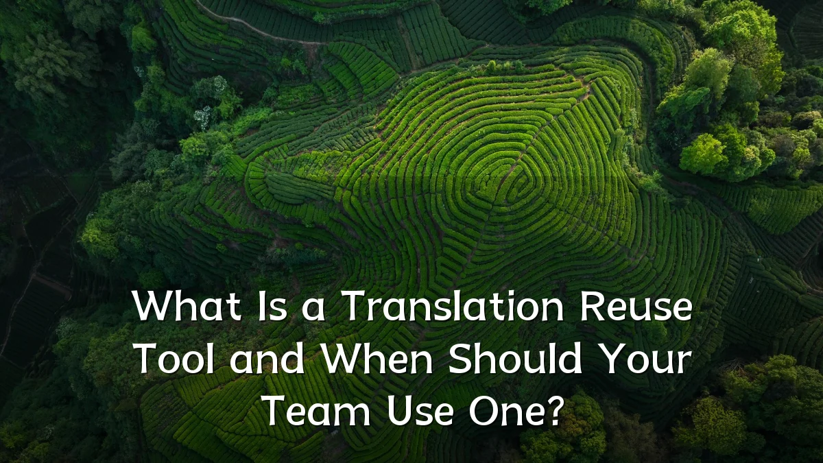 What Is a Translation Reuse Tool and When Should Your Team Use One?