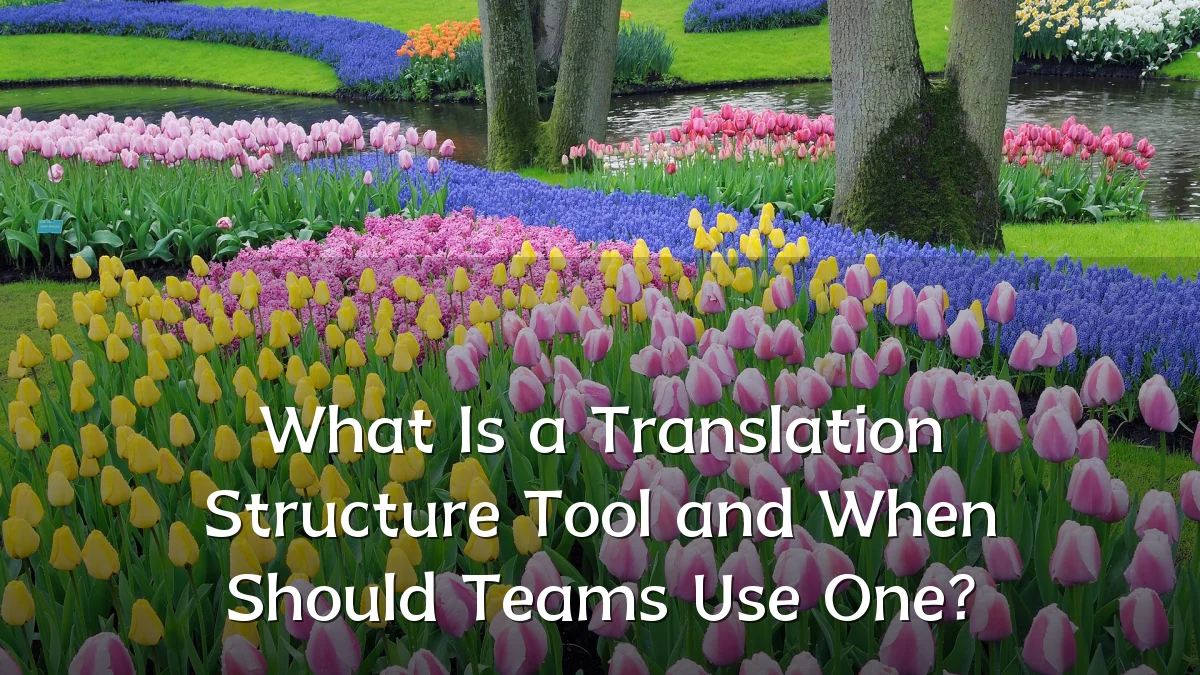What Is a Translation Structure Tool and When Should Teams Use One?